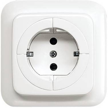 Busch-Jaeger  Insert Prise 2P+T   blanc, blanc pur (RAL 9010) 2CKA002011A3629  1 pc(s)