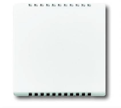 Busch-Jaeger  Cache Cache  Axcent blanc, blanc signalisation 2CKA006599A2835