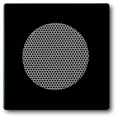 Un grille-haut-parleur carré avec une surface perforée ronde au centre sur un fond noir.