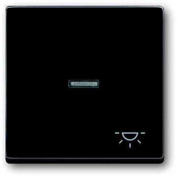 Busch-Jaeger  Cache Bascule symbole "éclairage"  Busch-axcent, Carat, Future Linear, Dynasty anthracite, gris-noir 2CKA001751A2931  1 pc(s)