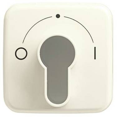 Busch-Jaeger  Cache Interrupteur à clé , Bouton-poussoir à clé  Duro 2000 SI blanc perle, blanc crème 2CKA001710A1340  1 pc(s)