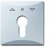 Busch-Jaeger Cache Interrupteur à clé , Bouton-poussoir à clé Allwetter 44 (IP44) aluminium, aluminium banc (RAL 9006) 2CKA001710A3804 1 pc(s)