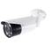 Caméra de surveillance murale, de forme cylindrique, en blanc et noir, utilisée pour la surveillance de sécurité.