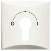 Busch-Jaeger Cache Interrupteur à clé , Bouton-poussoir à clé Allwetter 44 (IP44) blanc crème, blanc pur (RAL 9010) 2CKA001710A2249 1 pc(s)