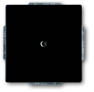 ABB  Cache Cache  noir profond (RAL 9005), noir 2CKA001710A3895 1 pc(s)