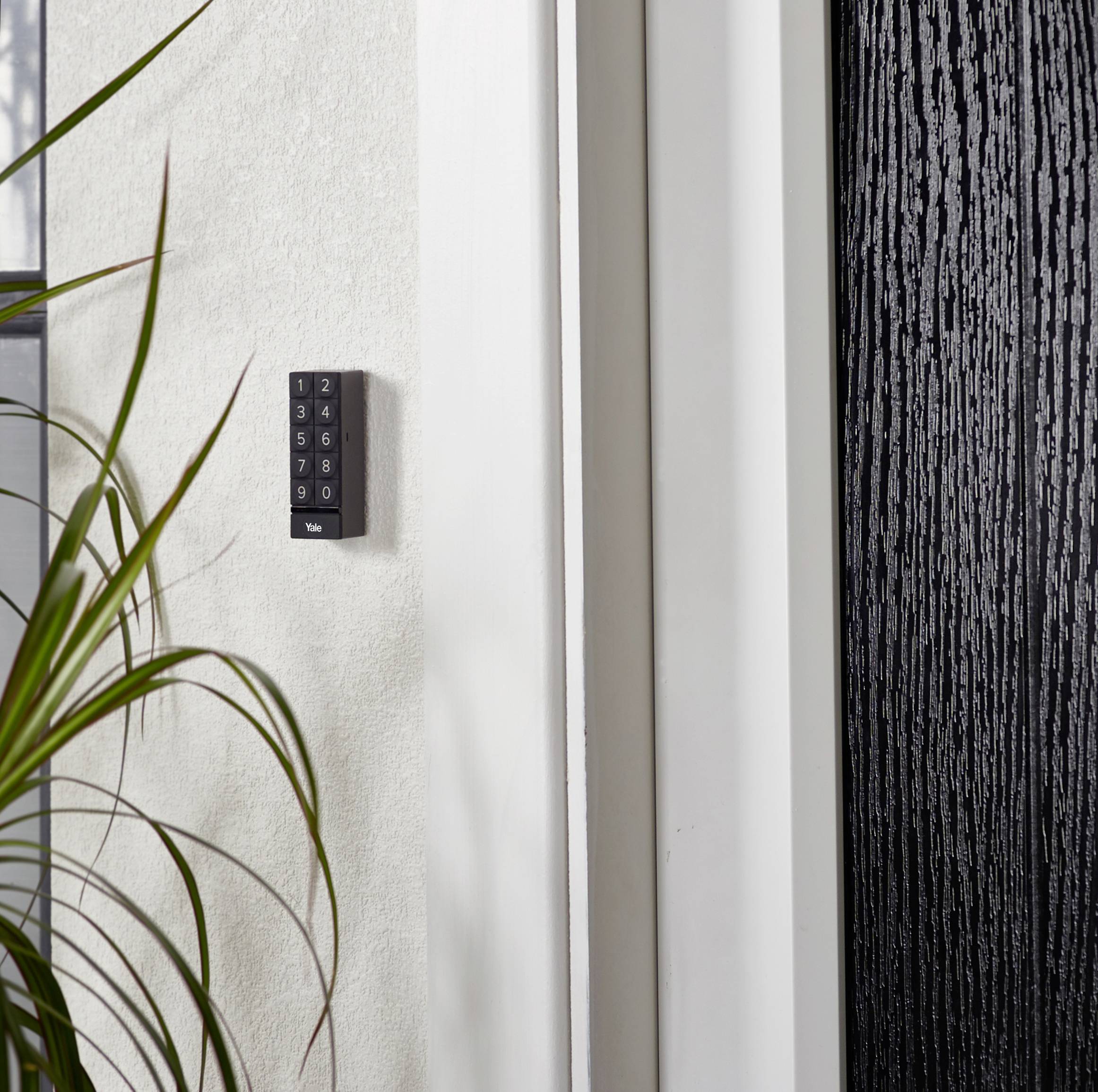 Une porte d'entrée moderne avec une serrure électronique sur le mur adjacent. Une plante est placée à gauche, la serrure dispose de touches numériques.