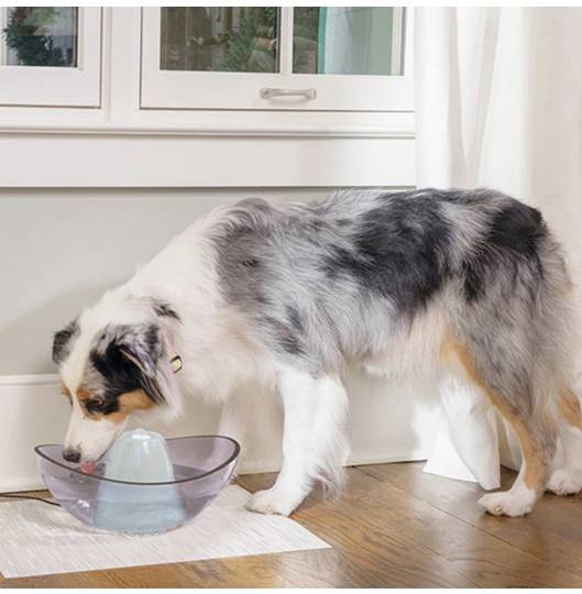 Petsafe Fontaine-abreuvoir Sedona 1 pc(s) SEDONA-PG-EU-19-1