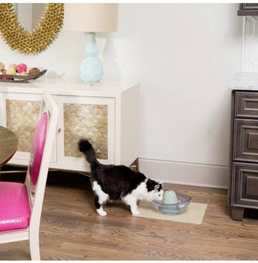 Petsafe Fontaine-abreuvoir Sedona 1 pc(s) SEDONA-PG-EU-19-2