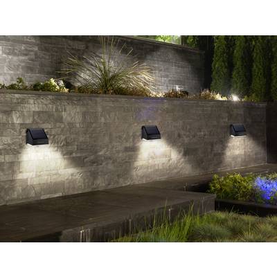 Des lampes solaires illuminent un mur de pierre gris dans un jardin moderne la nuit, avec des plantes et des arbres visibles en arrière-plan.