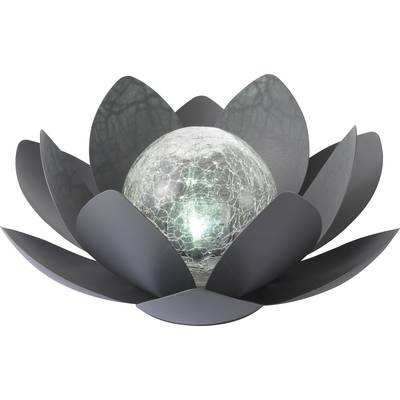 Sygonix Lampe de jardin LED   SY-4673700   LED 0.02 W blanc froid noir