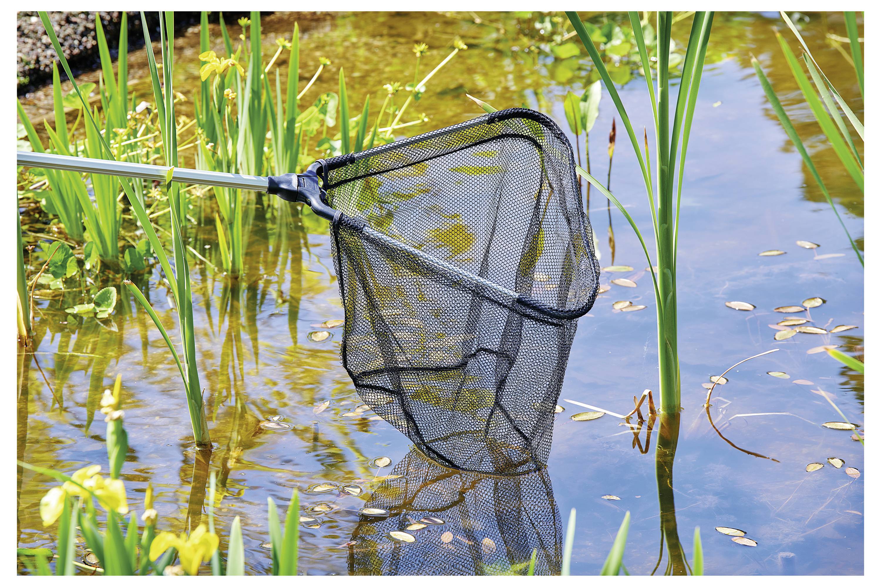 Un filet de pêche noir récupérant des feuilles dans un étang, entouré de plantes aquatiques avec des roseaux verts et des fleurs jaunes visibles en arrière-plan.