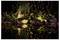Une scène de jardin nocturne avec des plantes illuminées et des rochers se reflétant dans un plan d'eau calme, créant une atmosphère sereine et tranquille.
