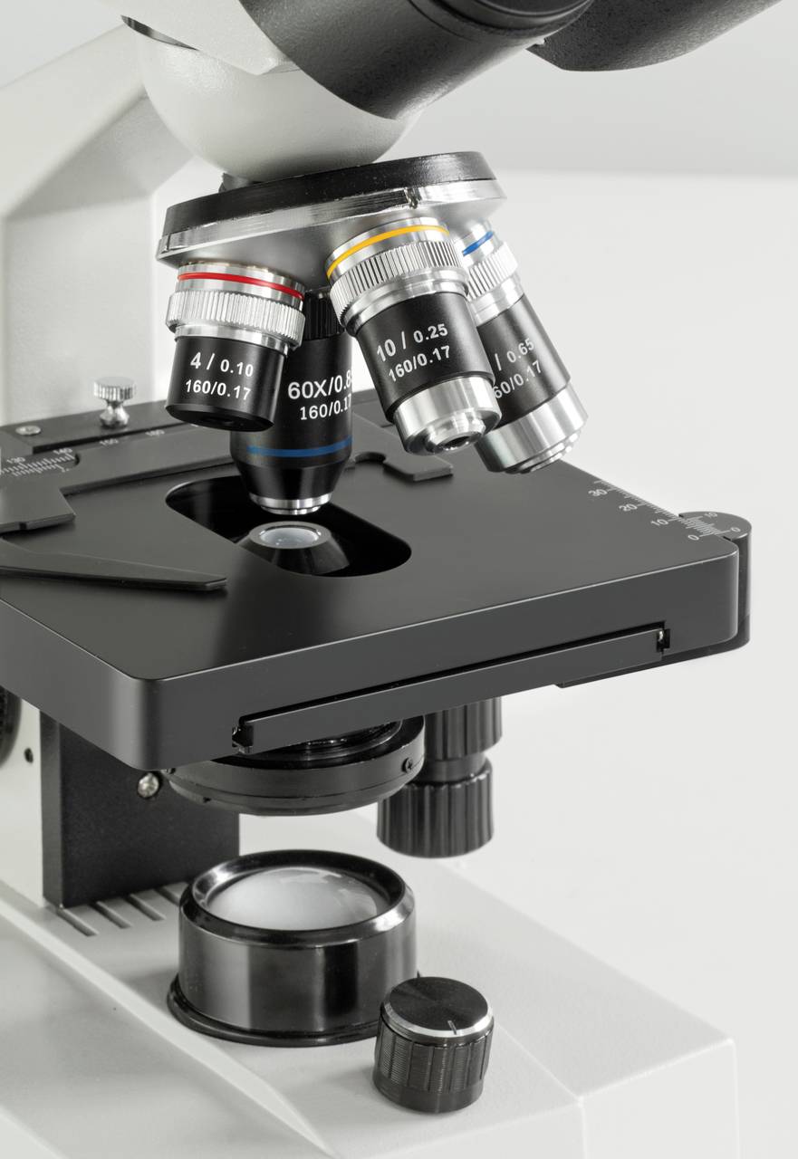 Microscope avec quatre objectifs différents pour l'observation d'échantillons, avec un accent mis sur les lentilles et les boutons de mise au point.
