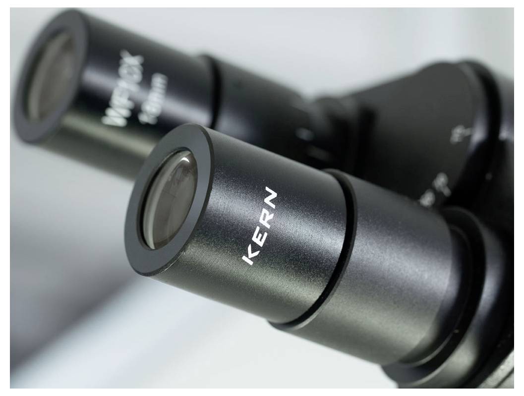Deux oculaires d'un microscope portant les inscriptions « KERN » et « WF10X 20mm », indiquant le grossissement et le fabricant.