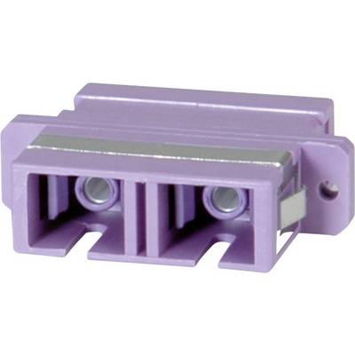 Connecteur en plastique de couleur violette, de forme rectangulaire, avec deux bornes disposées parallèlement.