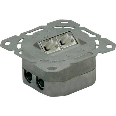 Un module de connexion réseau double dans un support de montage en métal. Adapté pour l'installation dans un mur ou un tableau de distribution.
