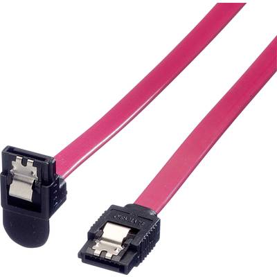 Câble de données SATA rouge avec un connecteur coudé et un connecteur droit, utilisé pour connecter des périphériques de stockage internes à la carte mère.