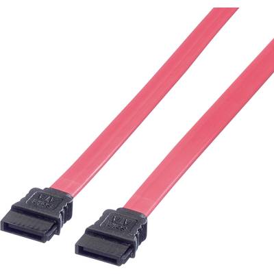 Deux câbles SATA rouges avec des connecteurs noirs, utilisés pour connecter des lecteurs internes aux cartes mères des ordinateurs.
