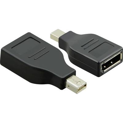'Deux adaptateurs DisplayPort avec Mini-DisplayPort et connecteur DisplayPort standard. Ils sont noirs et compacts.'