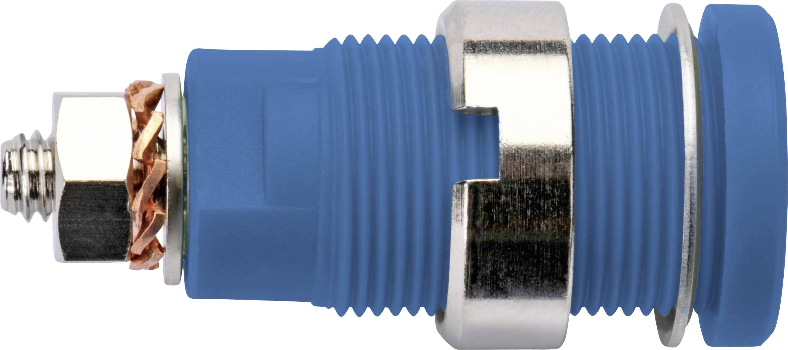 Connecteur électrique bleu avec bague métallique et isolation, représenté de côté, pour connexions de câblage.