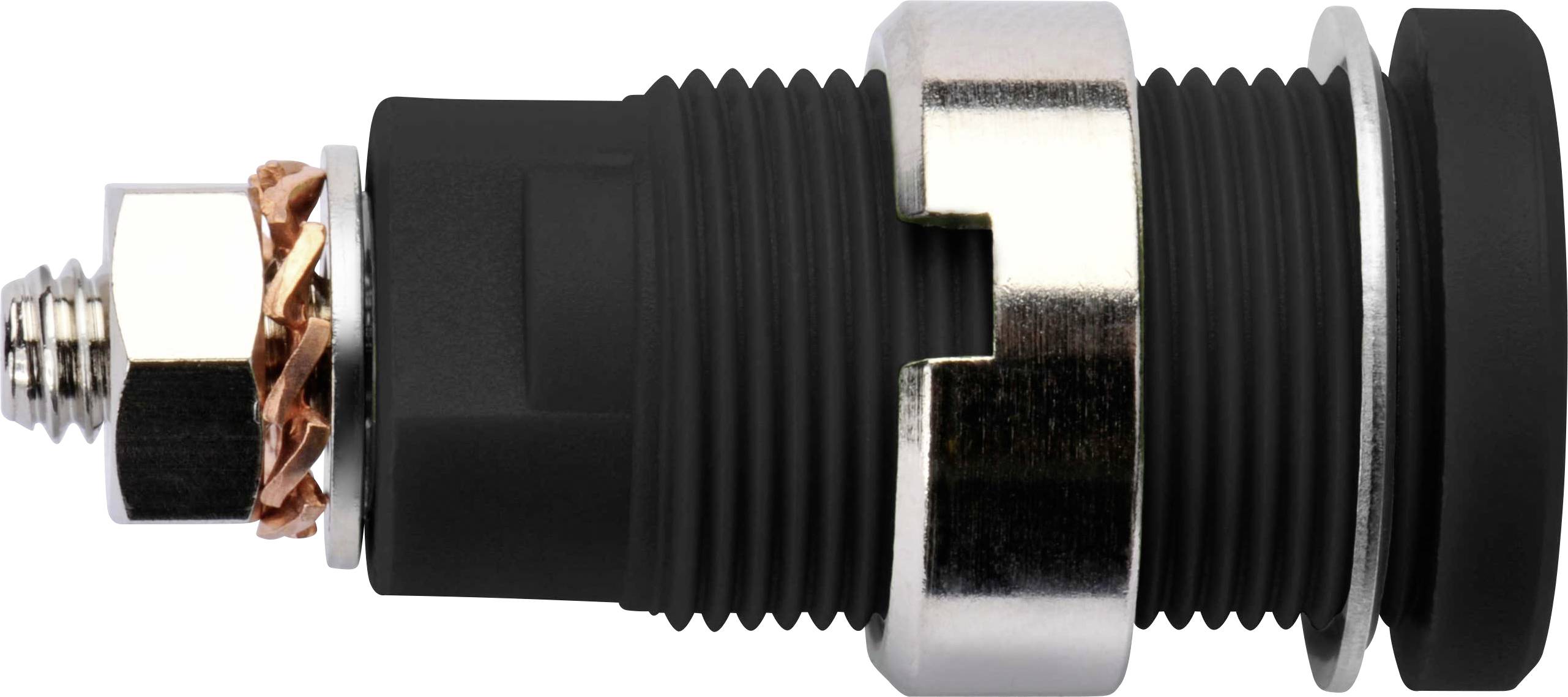 Prise encastrée de sécurité noir Schützinger DI SEB 6445 Ni / SW 1 pc(s)