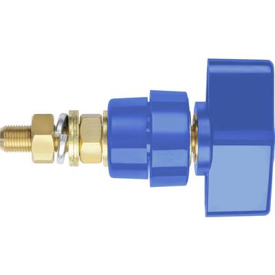 Une vanne de fermeture bleue avec des raccords et des écrous dorés, utilisée pour contrôler le flux de liquides ou de gaz.