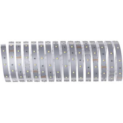 Longue bande de LED avec plusieurs lumières jaunes réparties uniformément sur une surface flexible argentée.