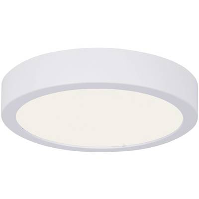 Un plafonnier rond blanc au design épuré, adapté aux intérieurs modernes.