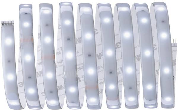 Paulmann 79875 Ruban LED avec connecteur mâle 2.5 m blanc lumière du jour 2.5 m