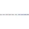 Paulmann 79882 Ruban LED avec connecteur mâle 24 V 1 m RVBB 1 m