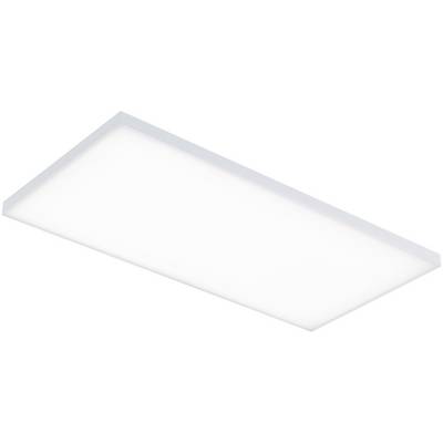 Plafonnier LED rectangulaire à répartition lumineuse uniforme, adapté aux espaces intérieurs lumineux et modernes.