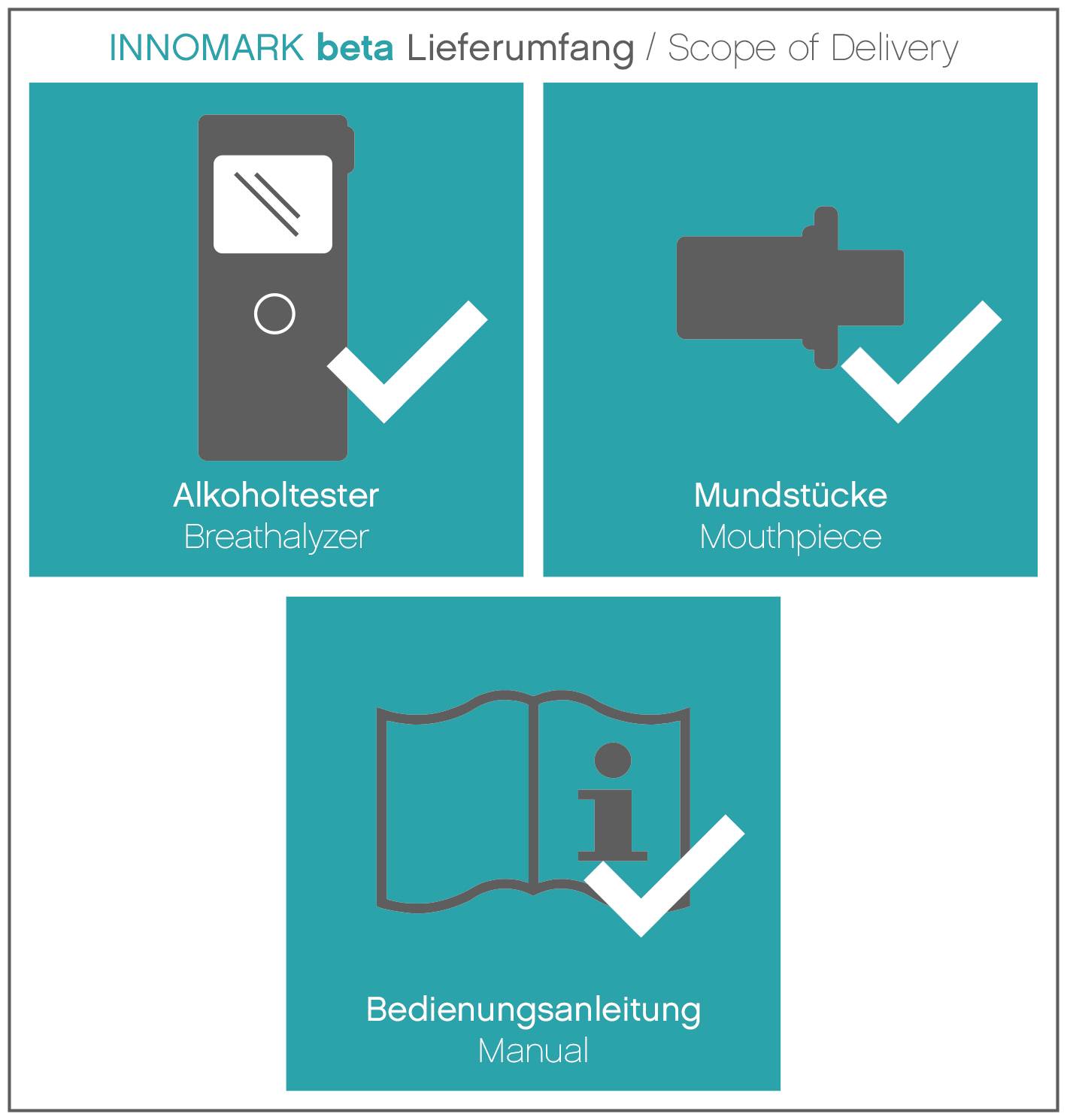 ACE INNOMARK beta Ethylomètre noir 0.07 à 2.00 ‰ avec écran-2