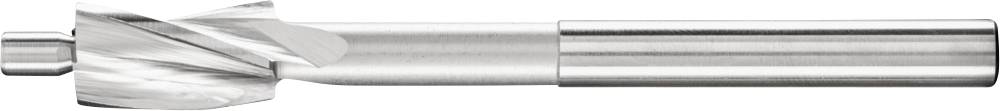 PFERD TOOLS FLS HSS DIN 373 6,0 F 25203100 Fraise plate 6 mm HSS 1 pc(s ...