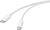 Un câble blanc avec une fiche USB-C d'un côté et une fiche Lightning de l'autre.