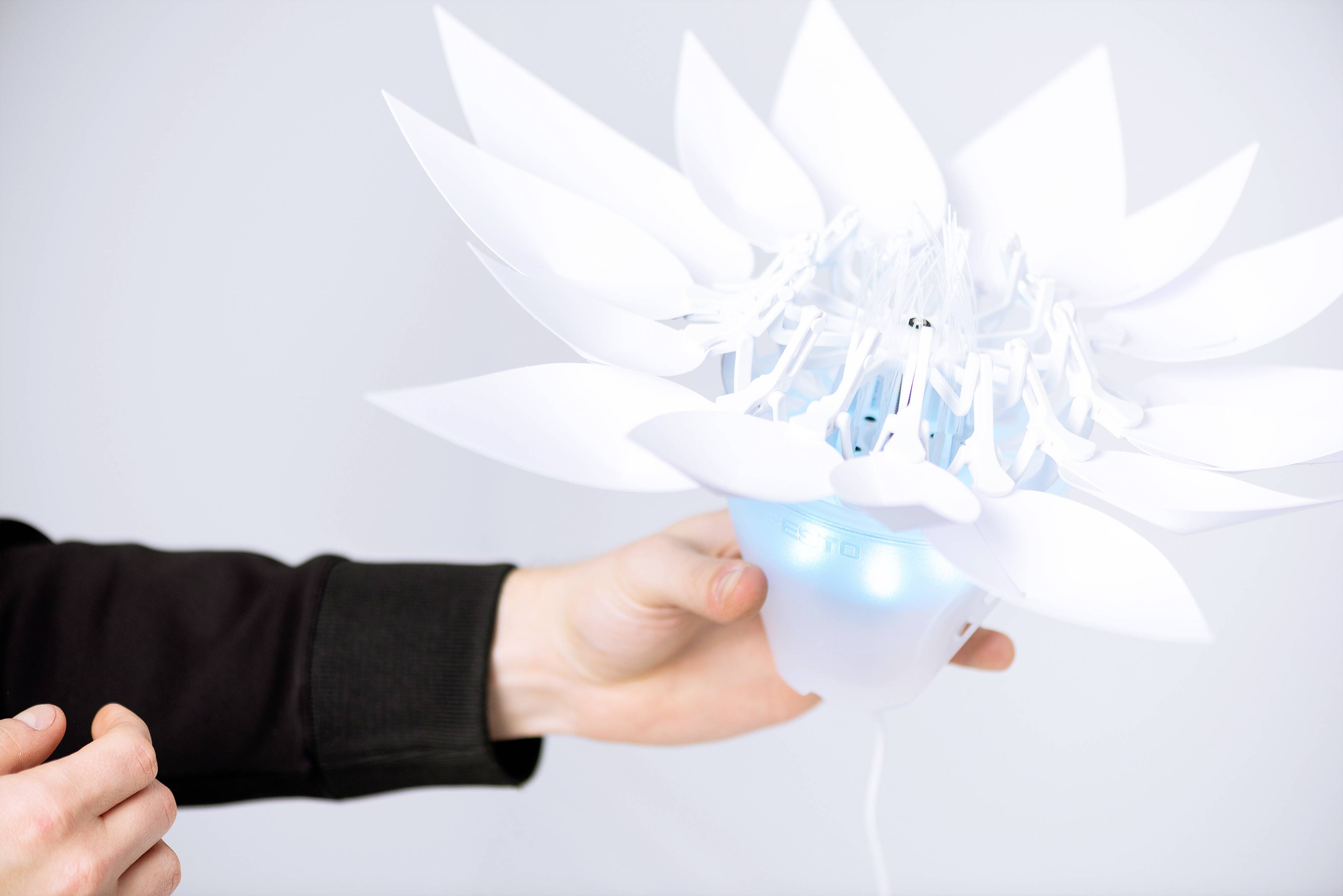FESTO Didactic BIONIC Flower 8140349 à partir de 10 ans-2