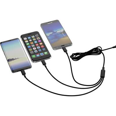 'Trois smartphones chargent avec un câble de charge multiple. Chaque smartphone affiche un écran différent : applications, image de plage, image abstraite.'