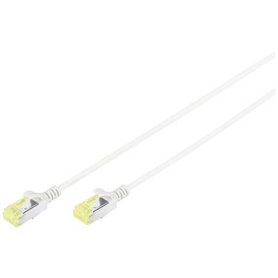 Un câble Ethernet blanc avec deux connecteurs RJ45 est présenté, adapté aux connexions réseau.