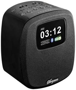 Récepteur Radio Portable Numérique SANGEAN AM/FM Avec Réveil – Modèle Noir – RA22720