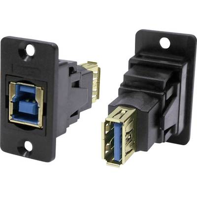 Deux connecteurs USB en noir et or. L'un montre la face avant, l'autre la face arrière. Ils sont adaptés à un montage mural.