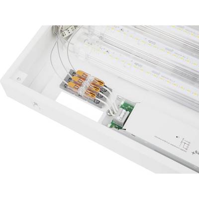 Lampe LED avec boîtier transparent, montrant le câblage électrique interne et les composants, y compris un convertisseur blanc et des bornes de connexion.