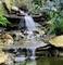 Une petite cascade s'écoule sur des pierres dans un bassin, entourée de plantes vertes et de rochers, dans un décor de jardin naturel.