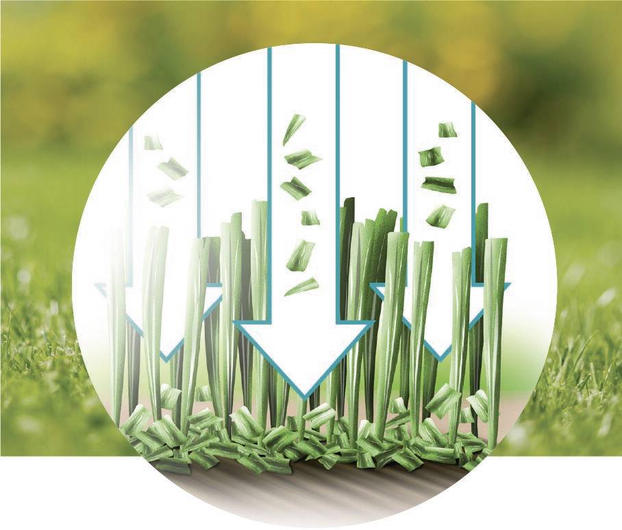 L'illustration montre comment les tontes de gazon se transforment en paillis grâce à des flèches, recouvrant le sol pour lui restituer des nutriments.