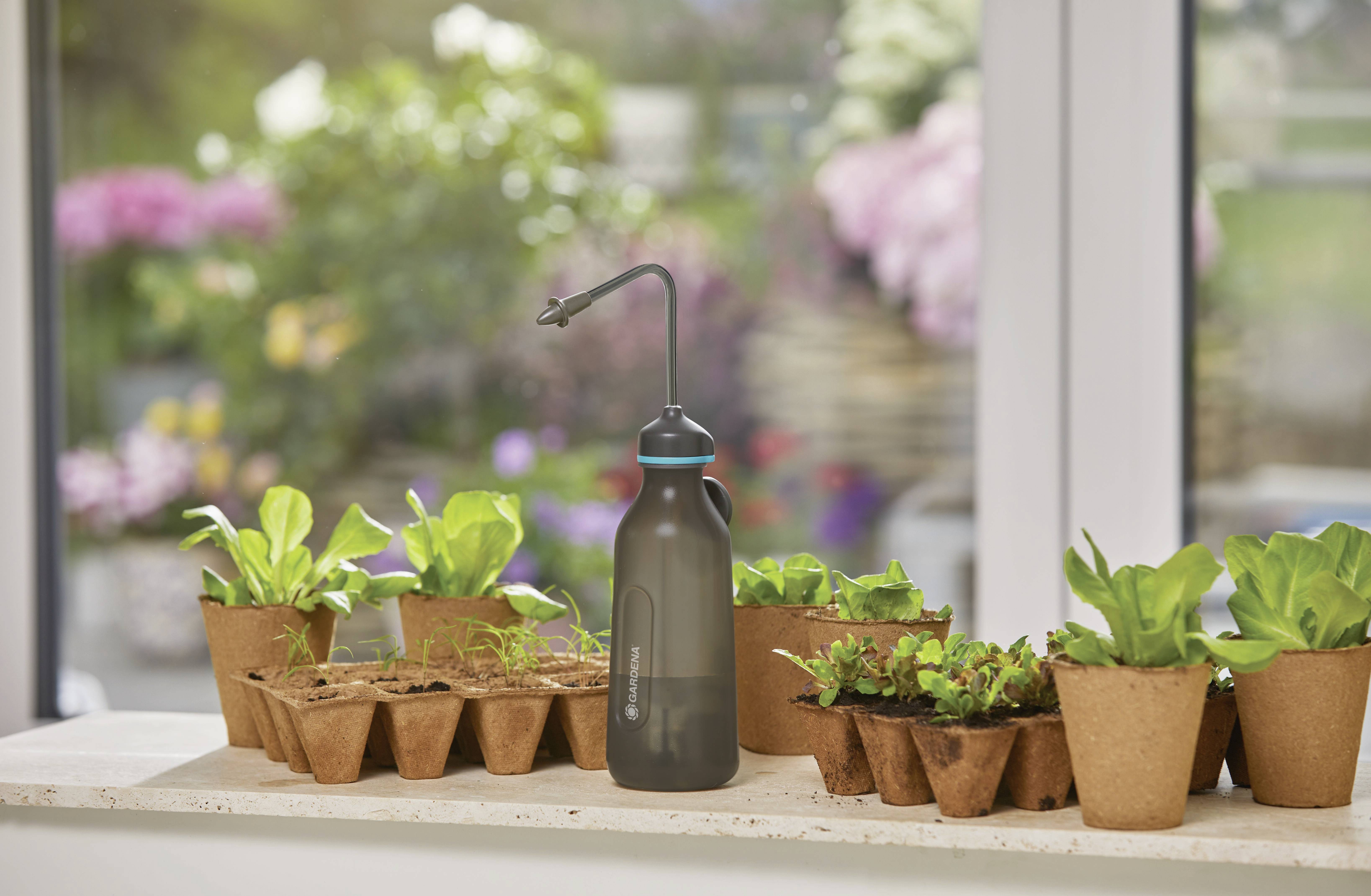 Une rangée de petits pots de fleurs contenant de jeunes plantes est disposée sur un rebord de fenêtre. À côté se trouve un arrosoir noir. En arrière-plan, on distingue des fleurs de jardin floues.