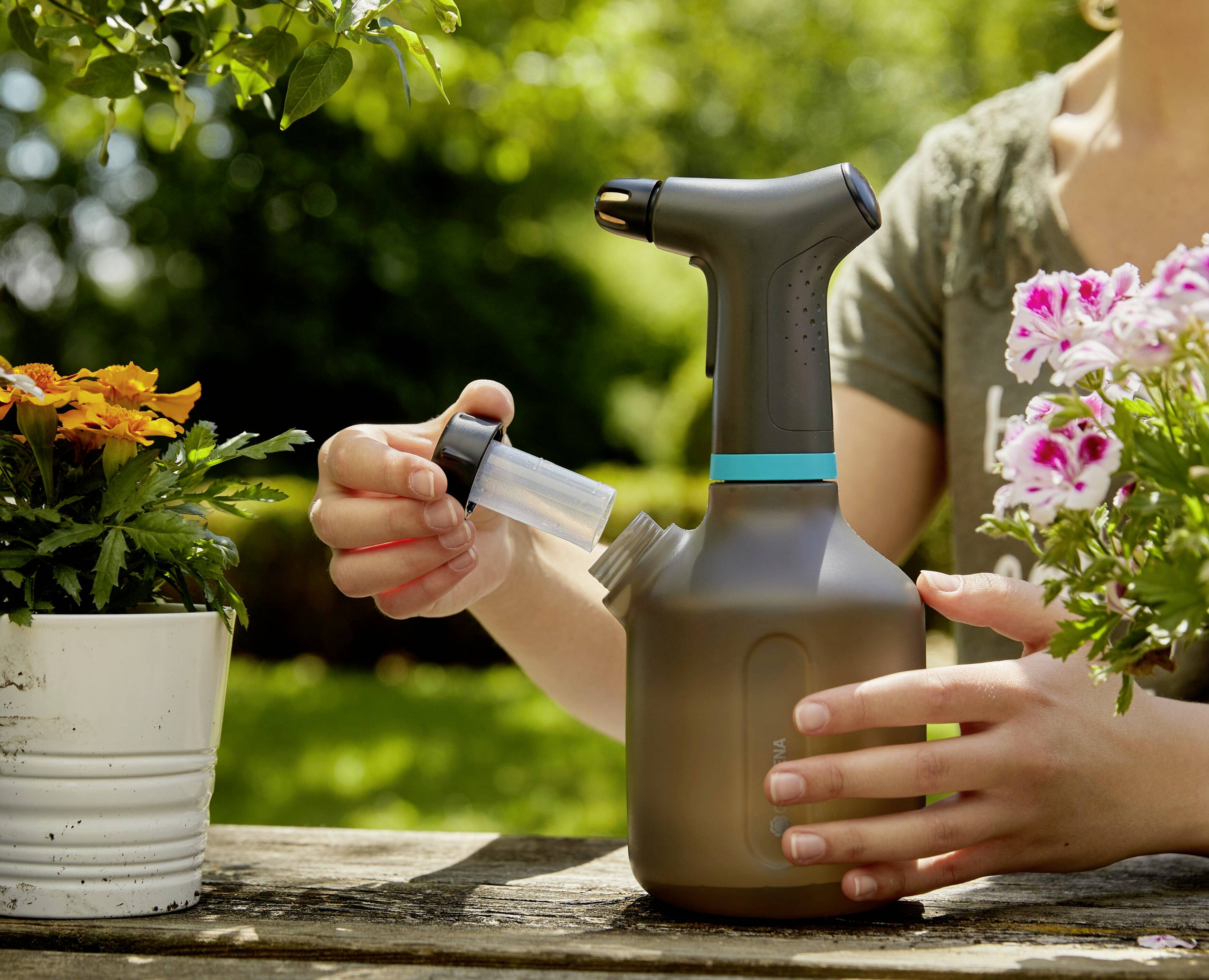 Une personne remplit un vaporisateur gris de liquide, entourée de plantes en fleurs dans des pots blancs sur une table en bois dans un jardin.
