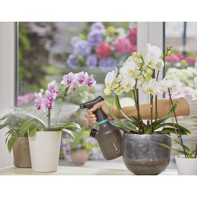 Une personne vaporise des orchidées en fleurs dans des pots sur un rebord de fenêtre. Des fleurs floues sont visibles en arrière-plan.