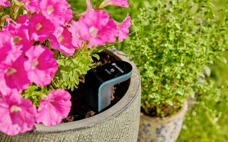 Un capteur de jardinage est placé dans un grand pot contenant des fleurs roses et des herbes vertes luxuriantes, indiquant la surveillance du sol dans un environnement de jardin.