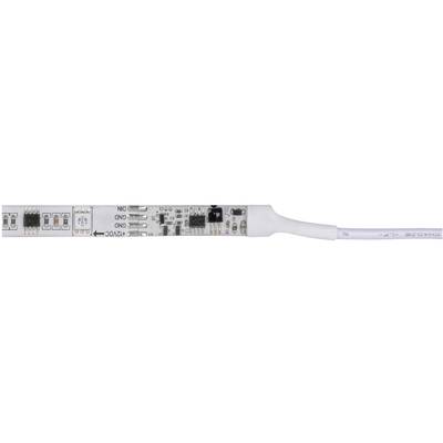 Gros plan d'une bande LED flexible avec plusieurs petits composants électroniques et un câble à son extrémité.