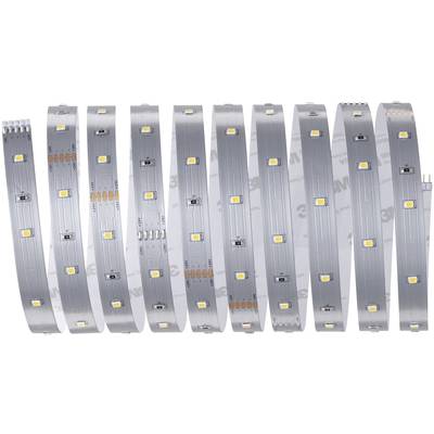 Une bande de LED avec des diodes lumineuses intégrées à intervalles réguliers sur une surface de support flexible.