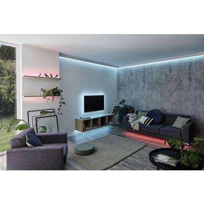 Salon avec un design moderne, des rampes lumineuses LED en bleu et rouge illuminant les étagères et la télévision. Canapés gris, plantes, grande fenêtre.