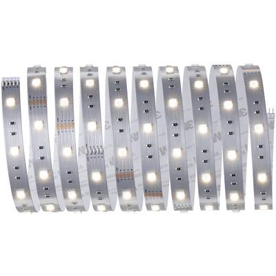 Bande lumineuse à LED avec des diodes blanches brillantes sur un ruban flexible argenté, adaptée à la décoration et à l'éclairage.